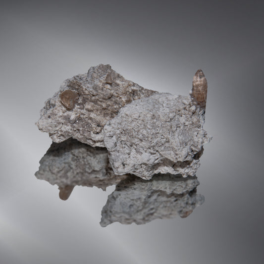 April 2024 - Topaz