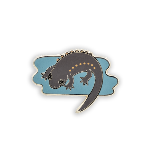 Bizarre Beasts Pin - Iberian Ribbed Newt