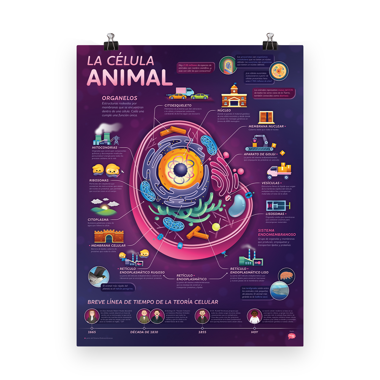Crash Course - La Célula Animal Póster