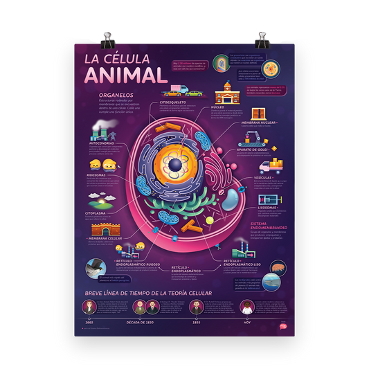 Crash Course - La Célula Animal Póster