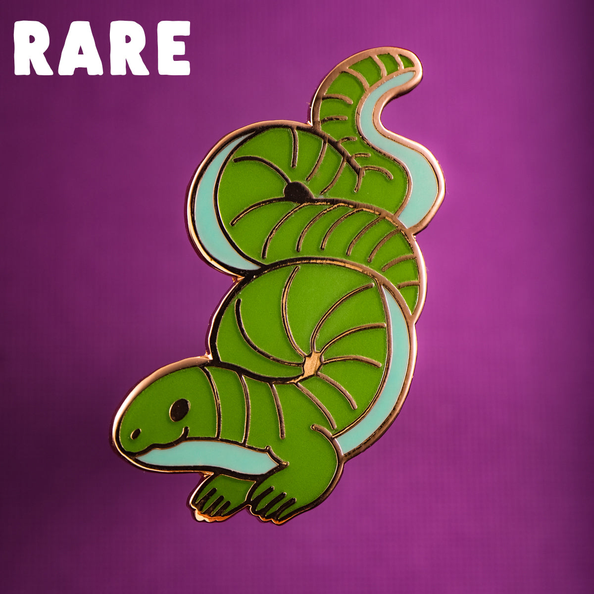Mexican Mole Lizard - BB July 22