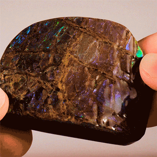 Polished Ammolite | SciShow Rocks Box Premium