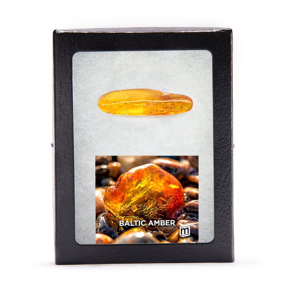 Baltic Amber