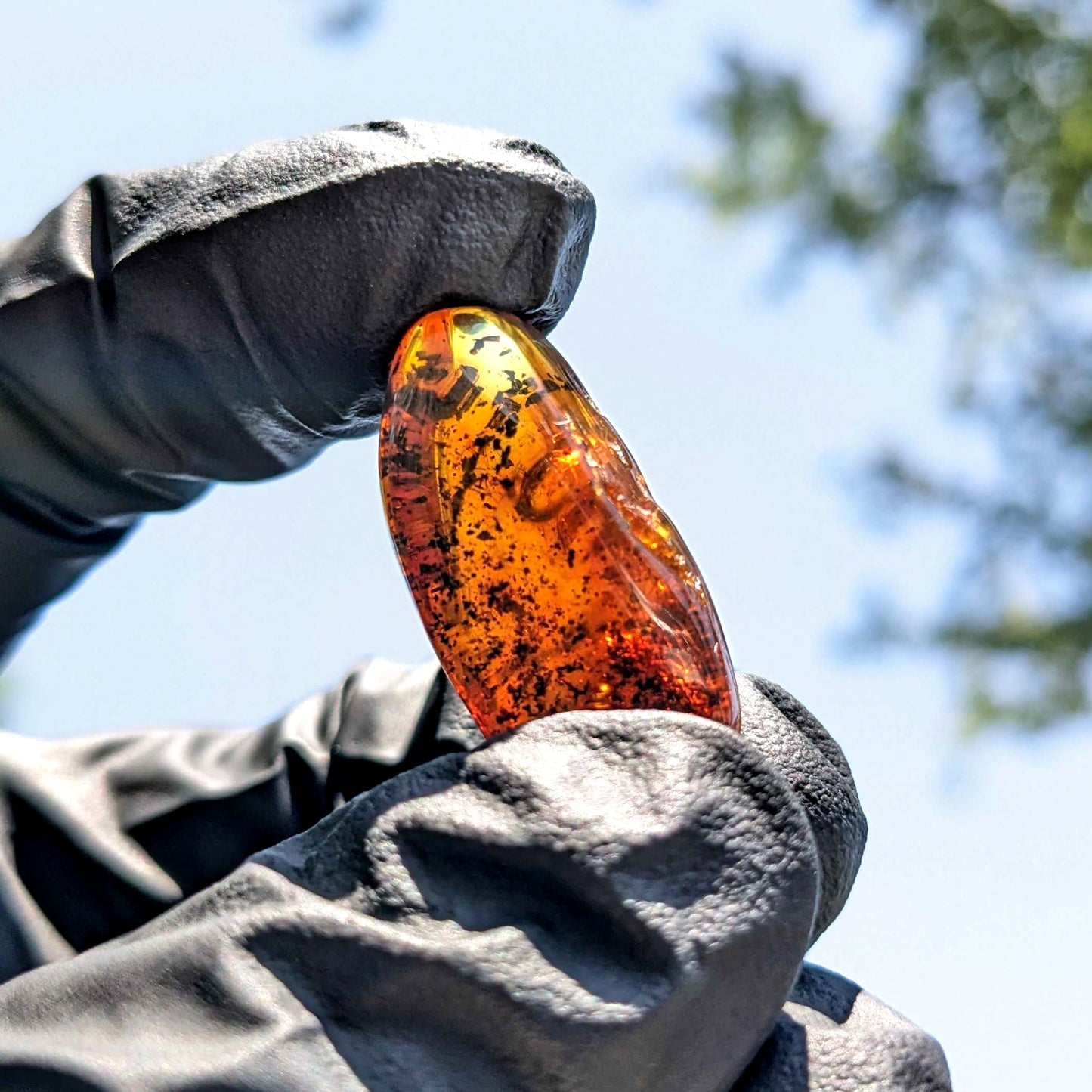 Baltic Amber