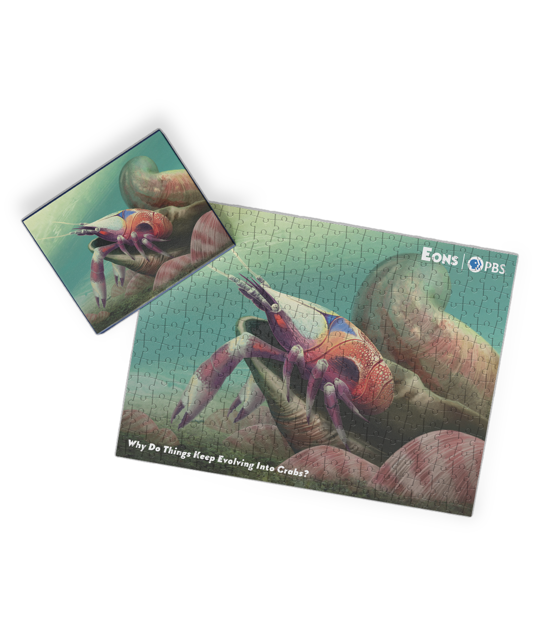 Eons False Crab Puzzle