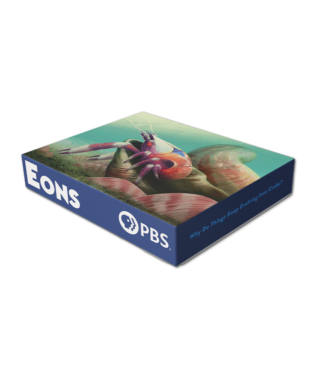 Eons False Crab Puzzle