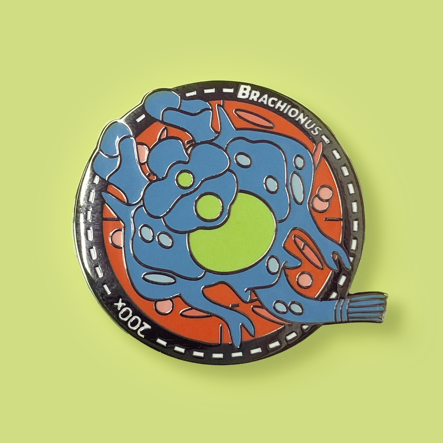 Photograph of circular pin featuring a Brachionus and the text, "Brachinous 200x"