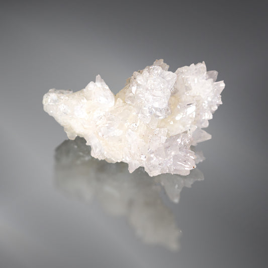 January 2024 - Aragonite