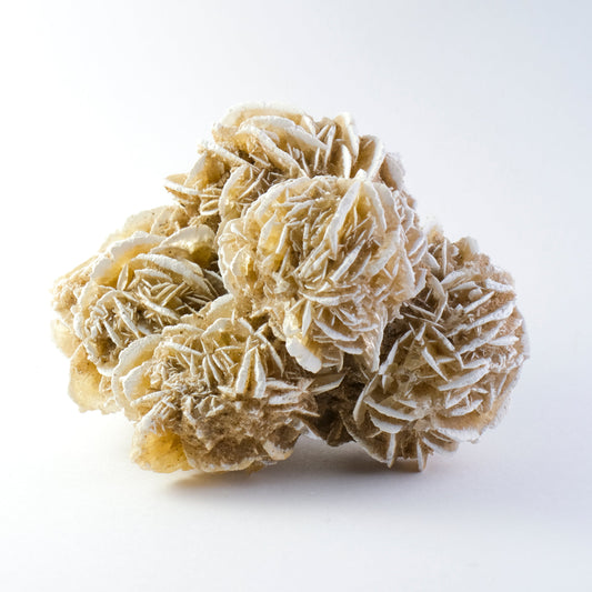 December 2025 - Desert Rose (Barite)