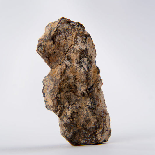September 2026 - Meteorite