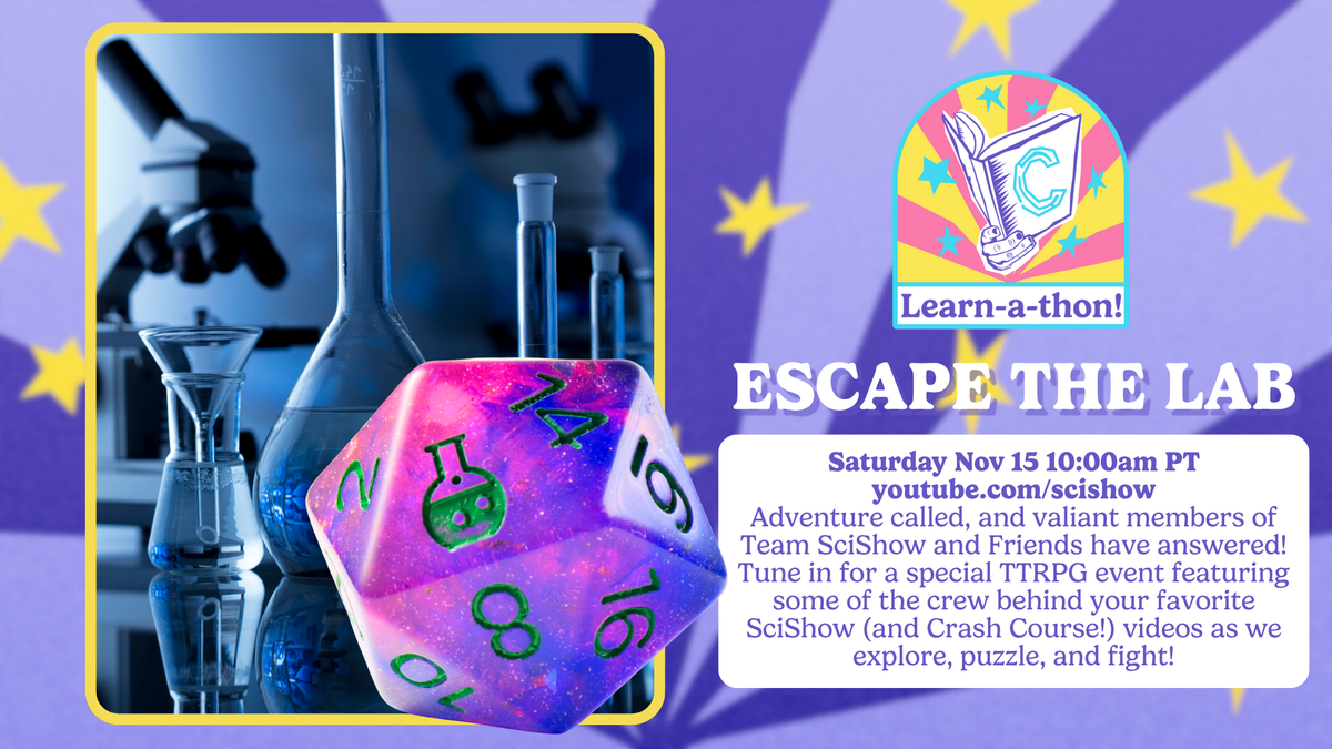 Complexly Complexly Learn-a-thon 2025! – Complexly Store