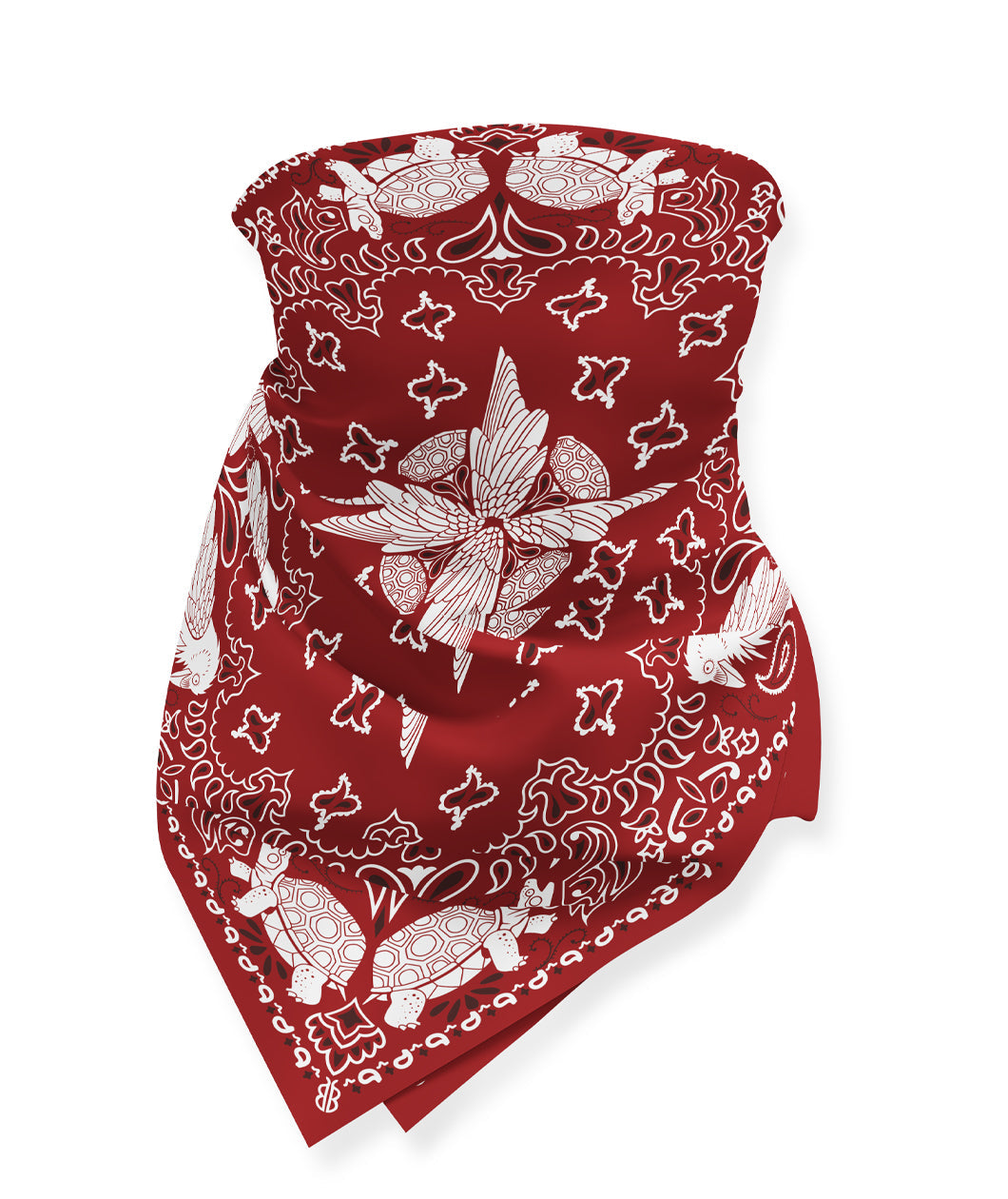 Raven and Desert Tortoise Bandana