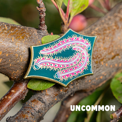 Bizarre Beasts Pin Subscription!