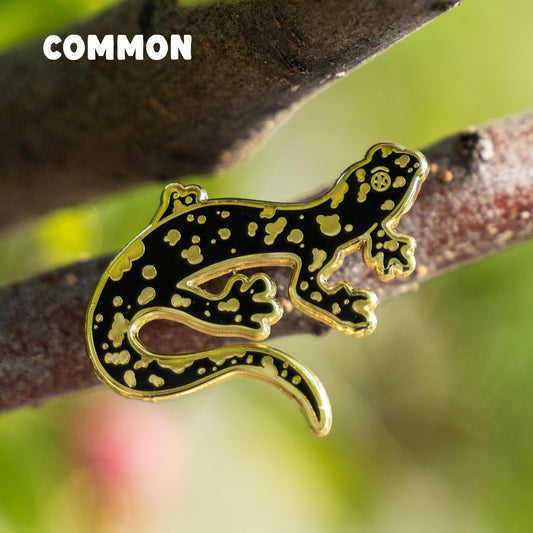 Bizarre Beasts Pin Subscription!