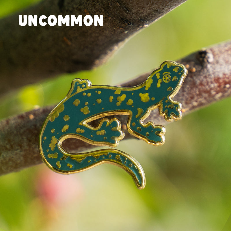 Bizarre Beasts Pin Subscription!
