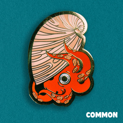 A photo of a soft enamel pin featuring an argonaut on a teal background. It is red and beige with gold metal plating. Common