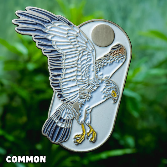 Bizarre Beasts Pin Subscription!