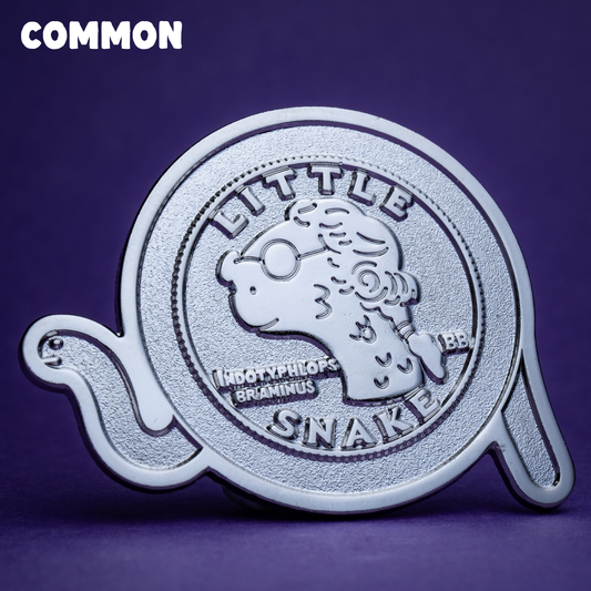 Bizarre Beasts Pin Subscription!