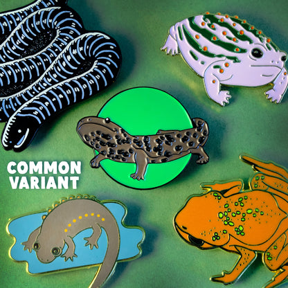 Bizarre Beasts Monthly Pin Bundle: Amphibians