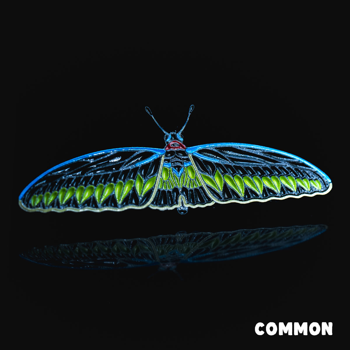 Bizarre Beasts Pin Subscription!