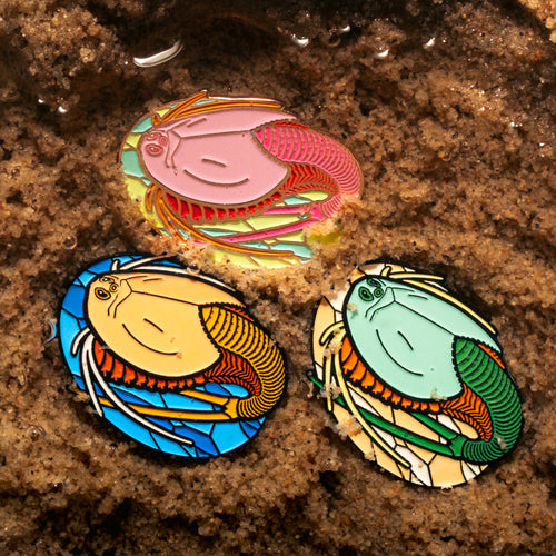 Tadpole Shrimp Pin