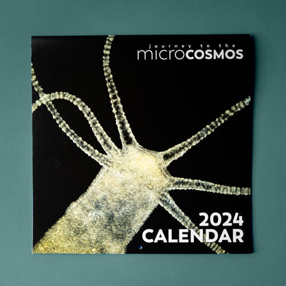 The cover of the Journey To The Microcosmos 2024 calendar, featuring a Hydra