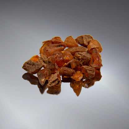 SciShow Rocks Box: New Jersey Amber