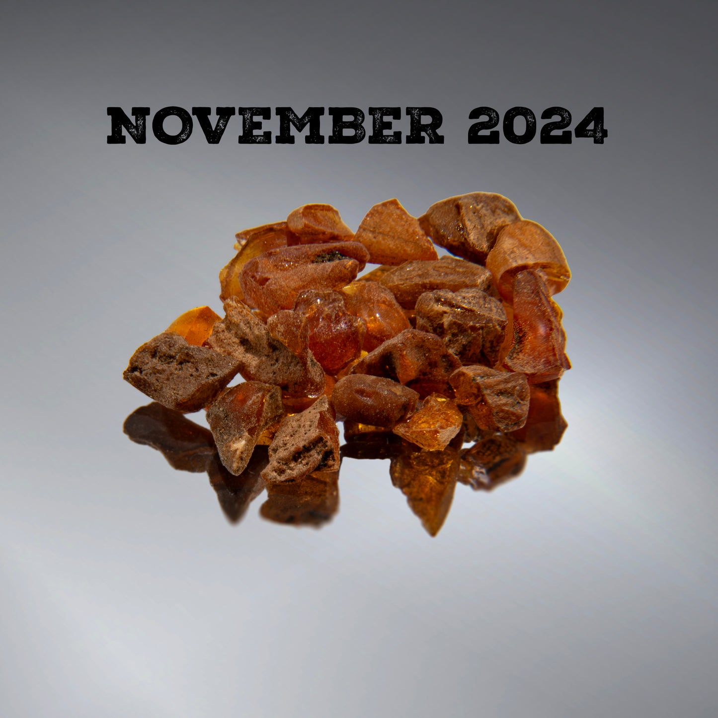 SciShow Rocks Box: New Jersey Amber