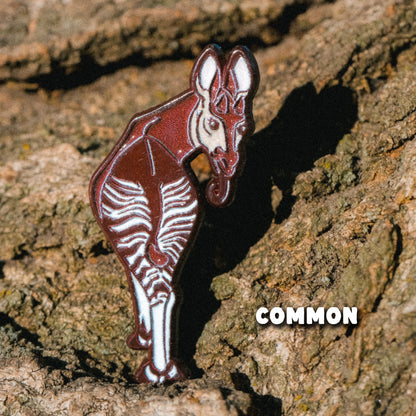Bizarre Beasts Pin Subscription!