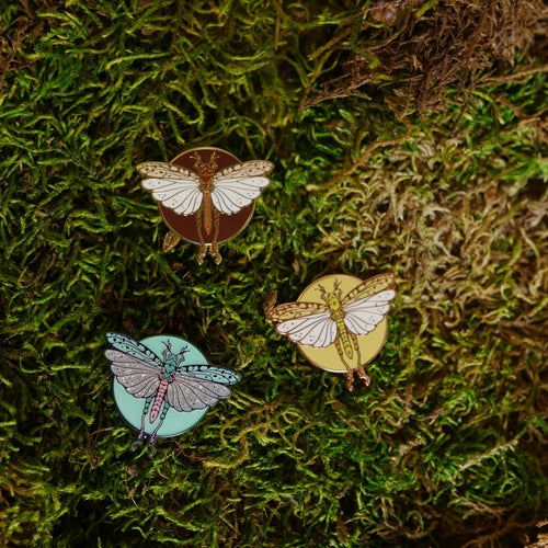 Locust Pin