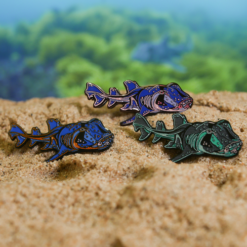 Port Jackson Shark Pin