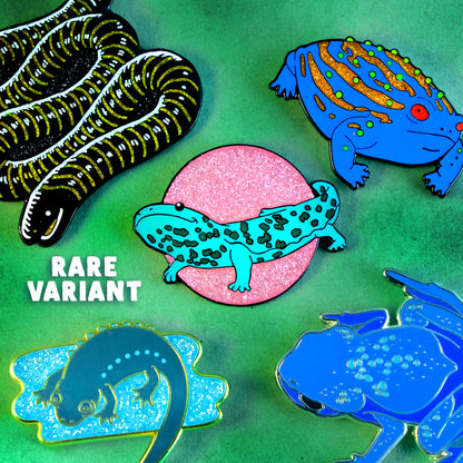 Bizarre Beasts Monthly Pin Bundle: Amphibians