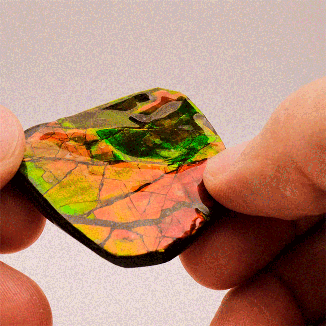 Polished Ammolite | SciShow Rocks Box Premium