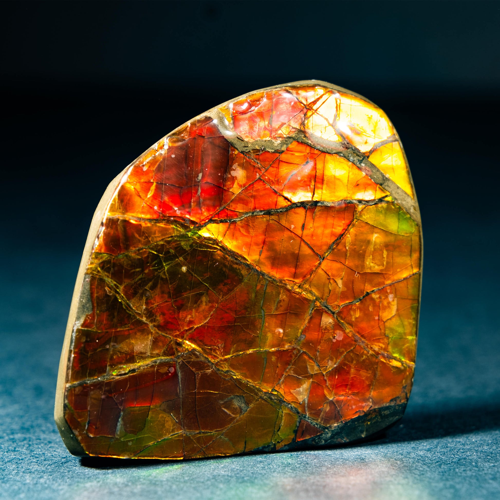 Polished Ammolite | SciShow Rocks Box Premium