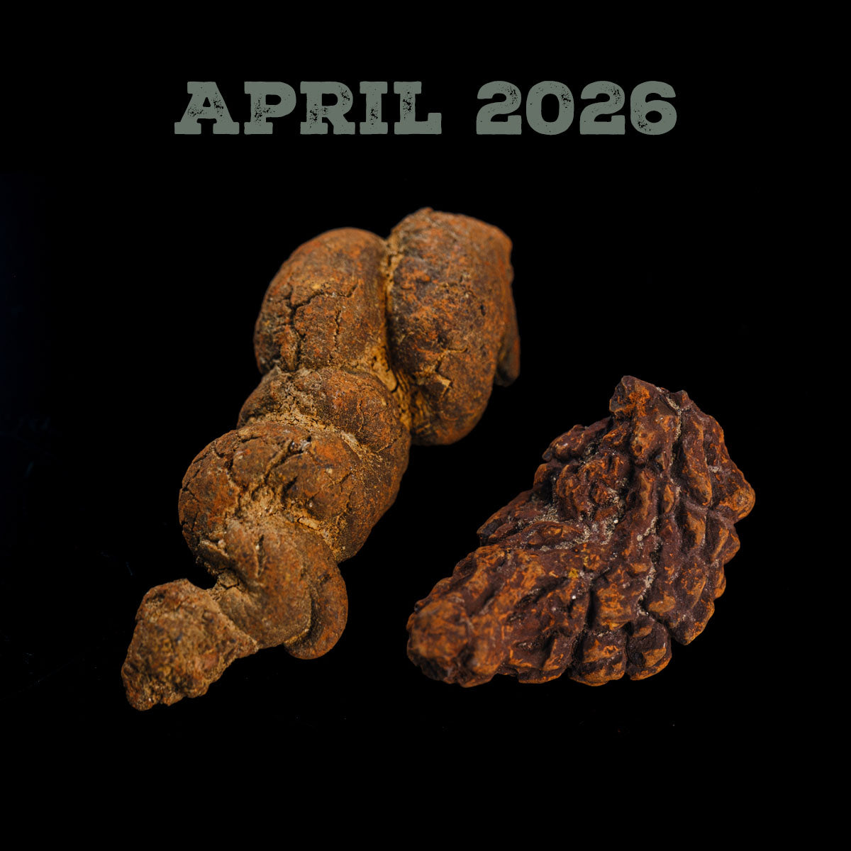 SciShow Rocks Box Subscription