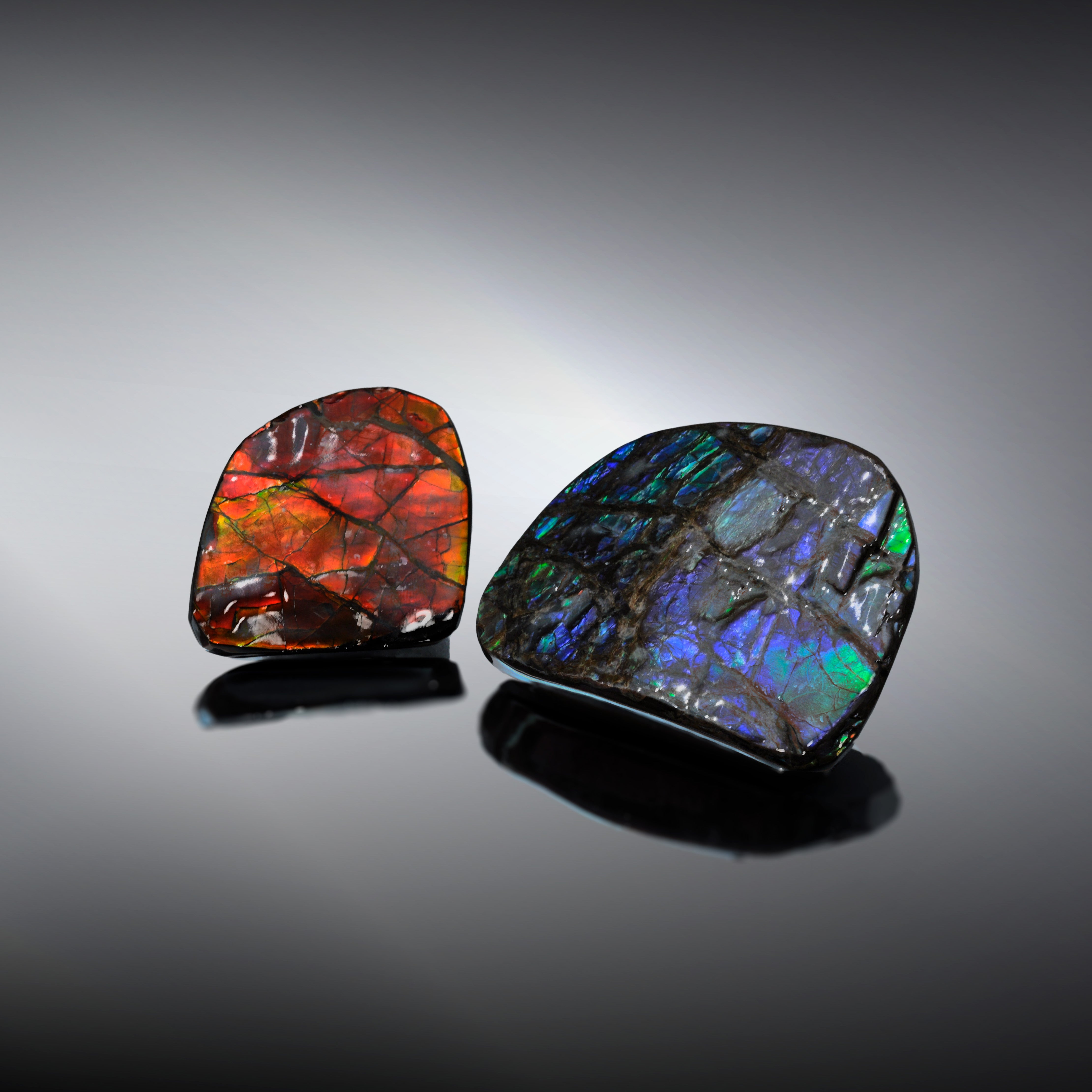 1) cheapest Ammolite Crystal Gemstone