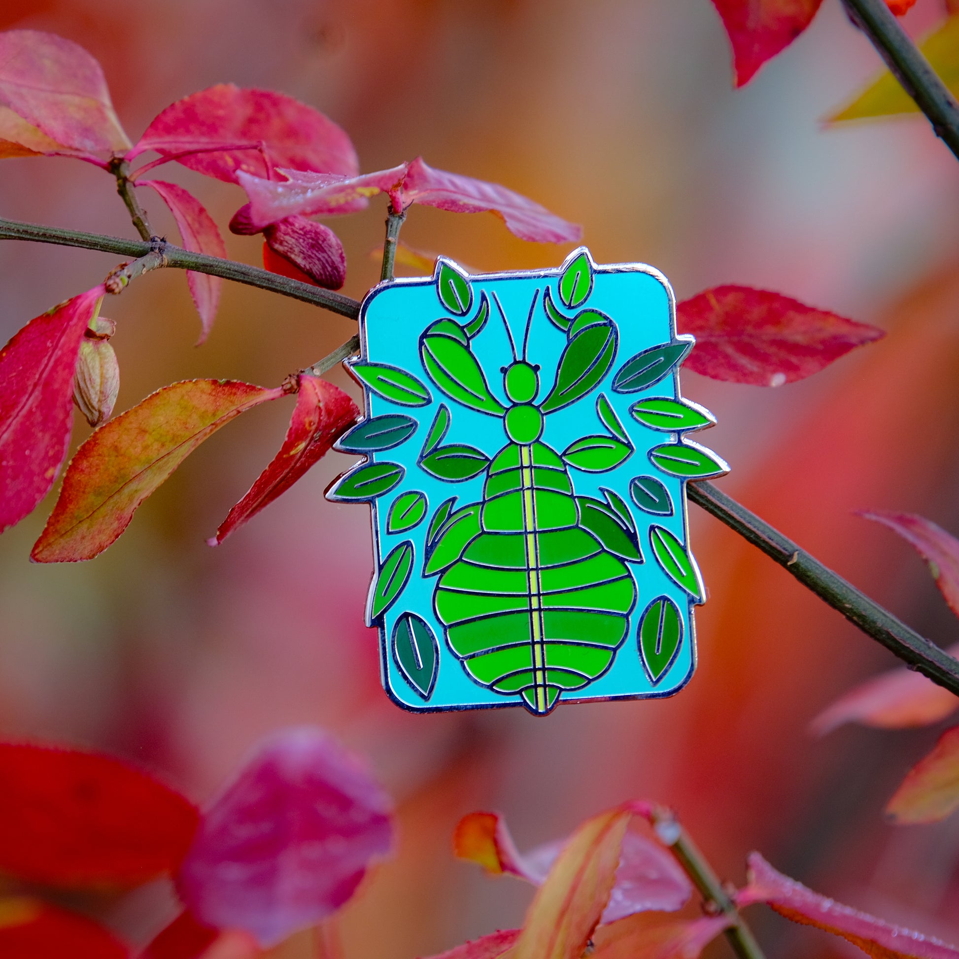 A photo of a soft enamel pin featuring a phasmid on a leafy autumnal background. It is green with silver metal on a blue background. Common