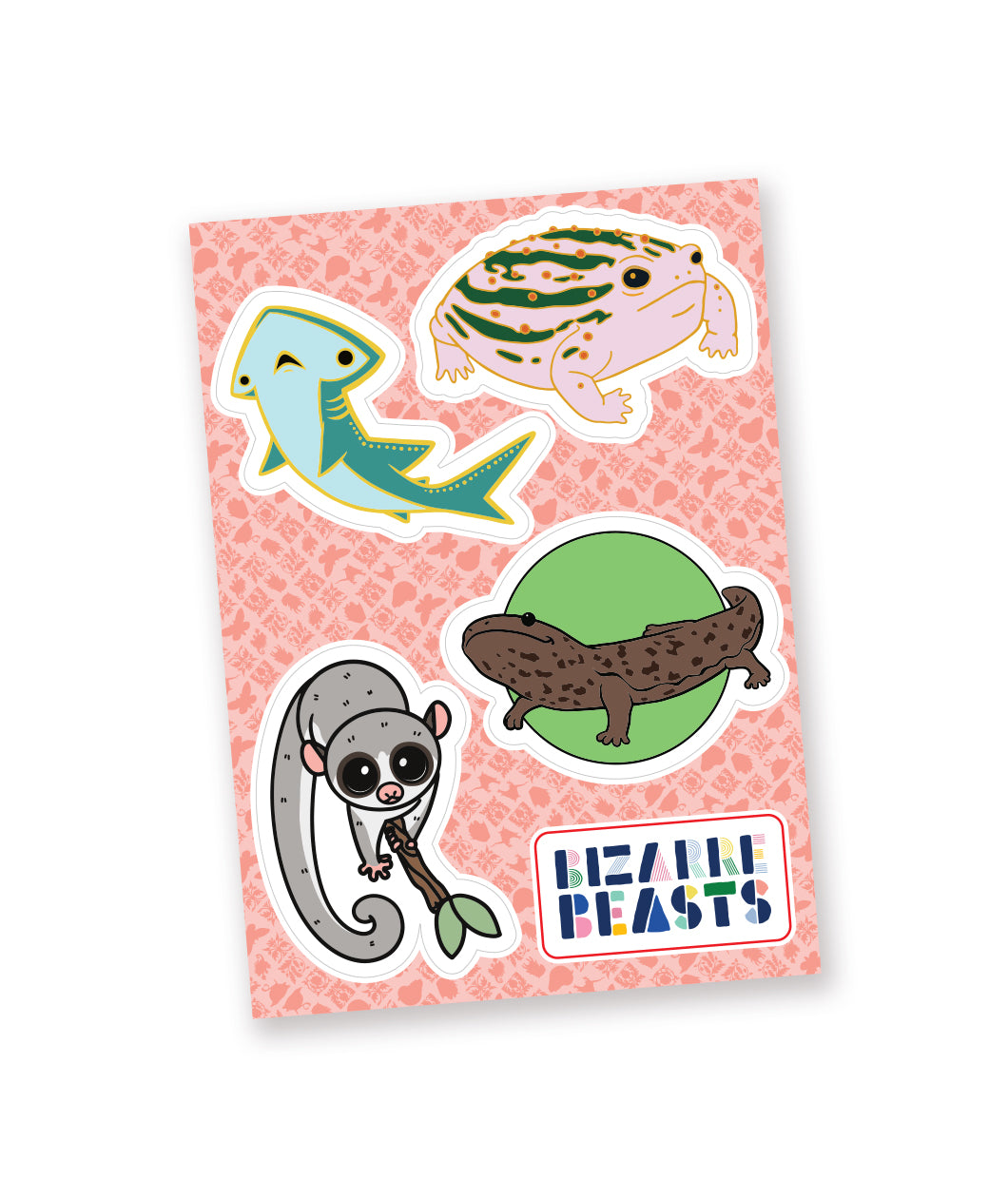 A mockup of a sticker sheet featuring designs of one Giant Salamander, one Bonnethead Shark, one Australian Ground Frog, and one Fat-Tailed Dwarf Lemur.