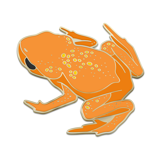 Bizarre Beast Pin: Pumpkin Toadlet