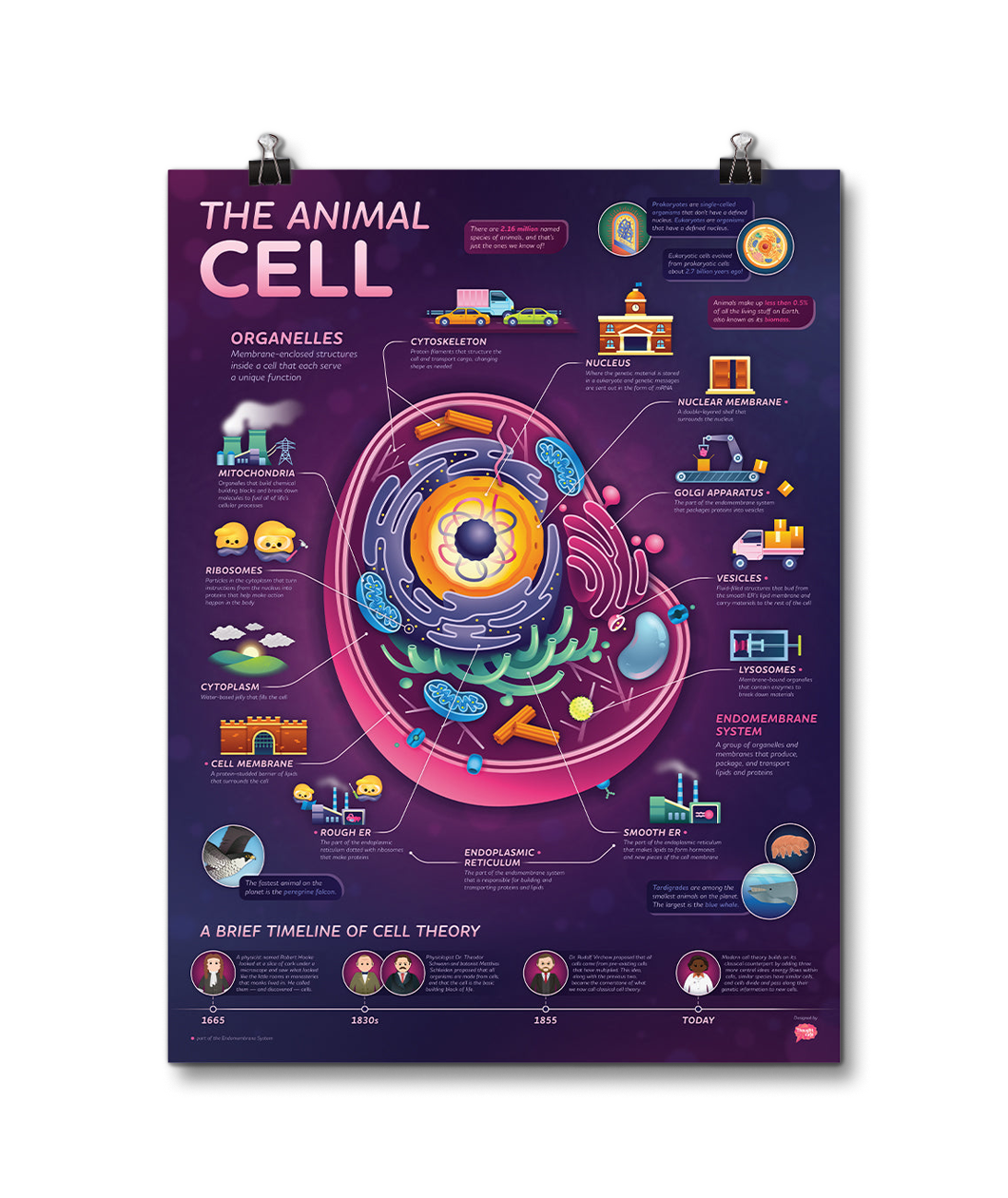 Crash Course Animal Cell Poster