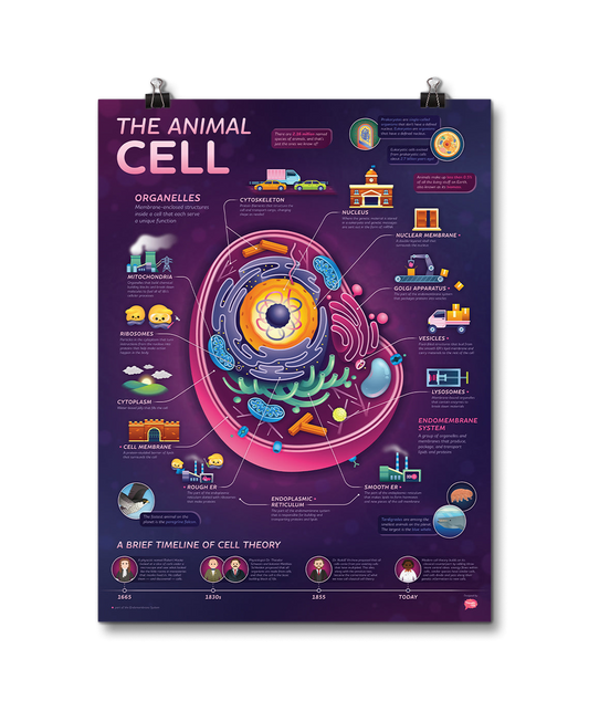 Crash Course Animal Cell Poster