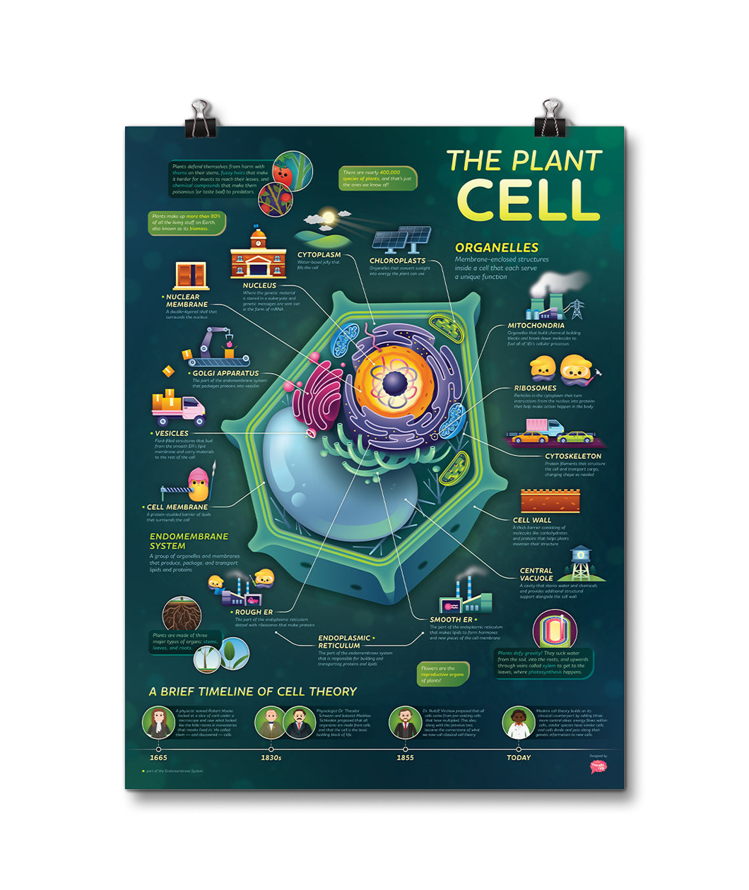 Crash Course Plant Cell Poster