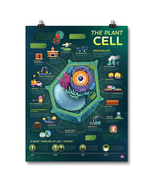 Crash Course Plant Cell Poster