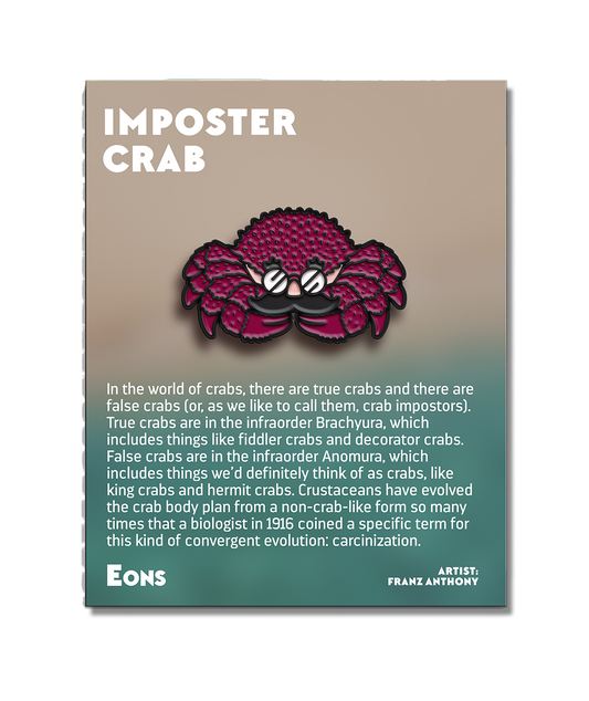 Imposter Pin Pins โ Complexly Store