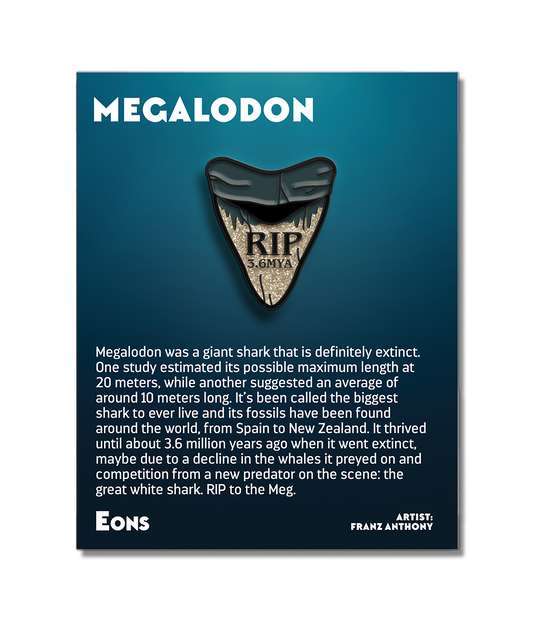 Megalodon Enamel Pin