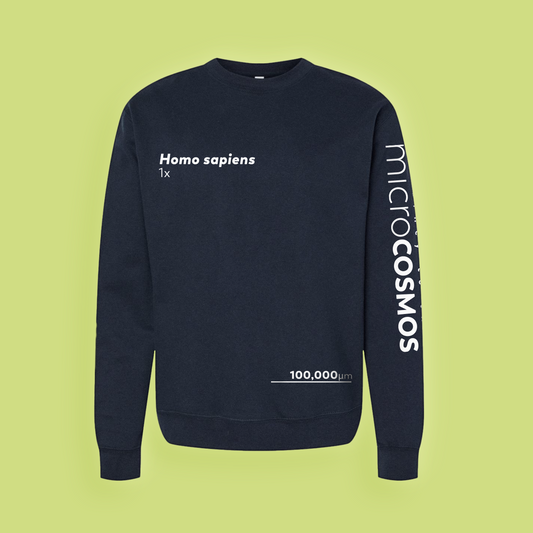 Homo Sapiens Sweatshirt