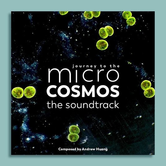 Journey to the Microcosmos The Soundtrack album art