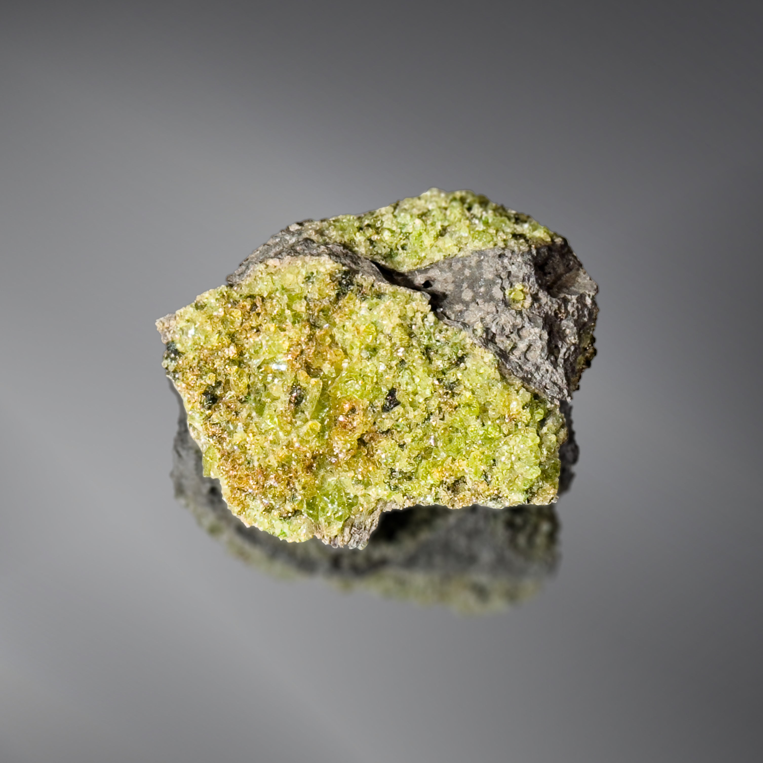 Complexly Geology – Complexly Store