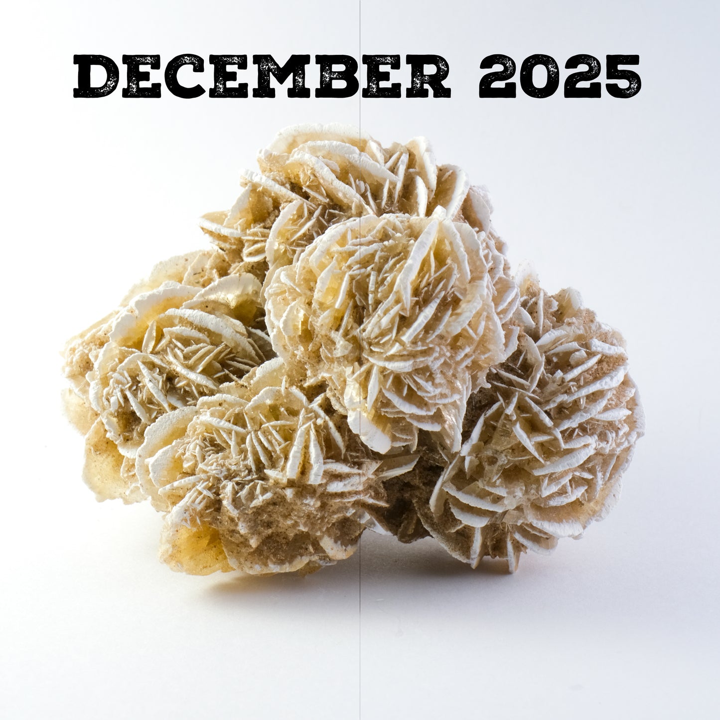 A photo of a desert rose sample with text overlay that reads "December 2025"